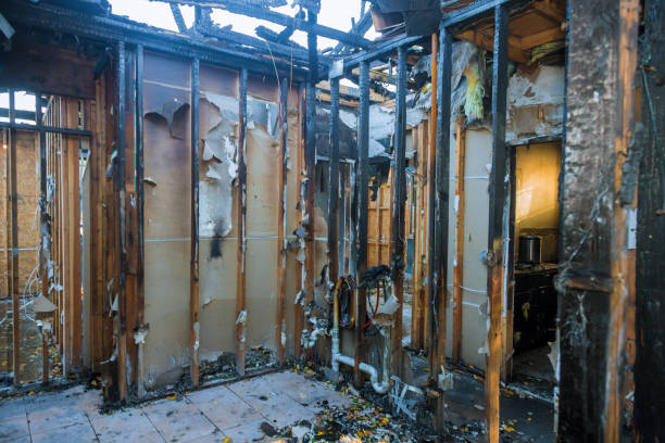 Professional Fire Damage Removal technician working in Aurora, IL